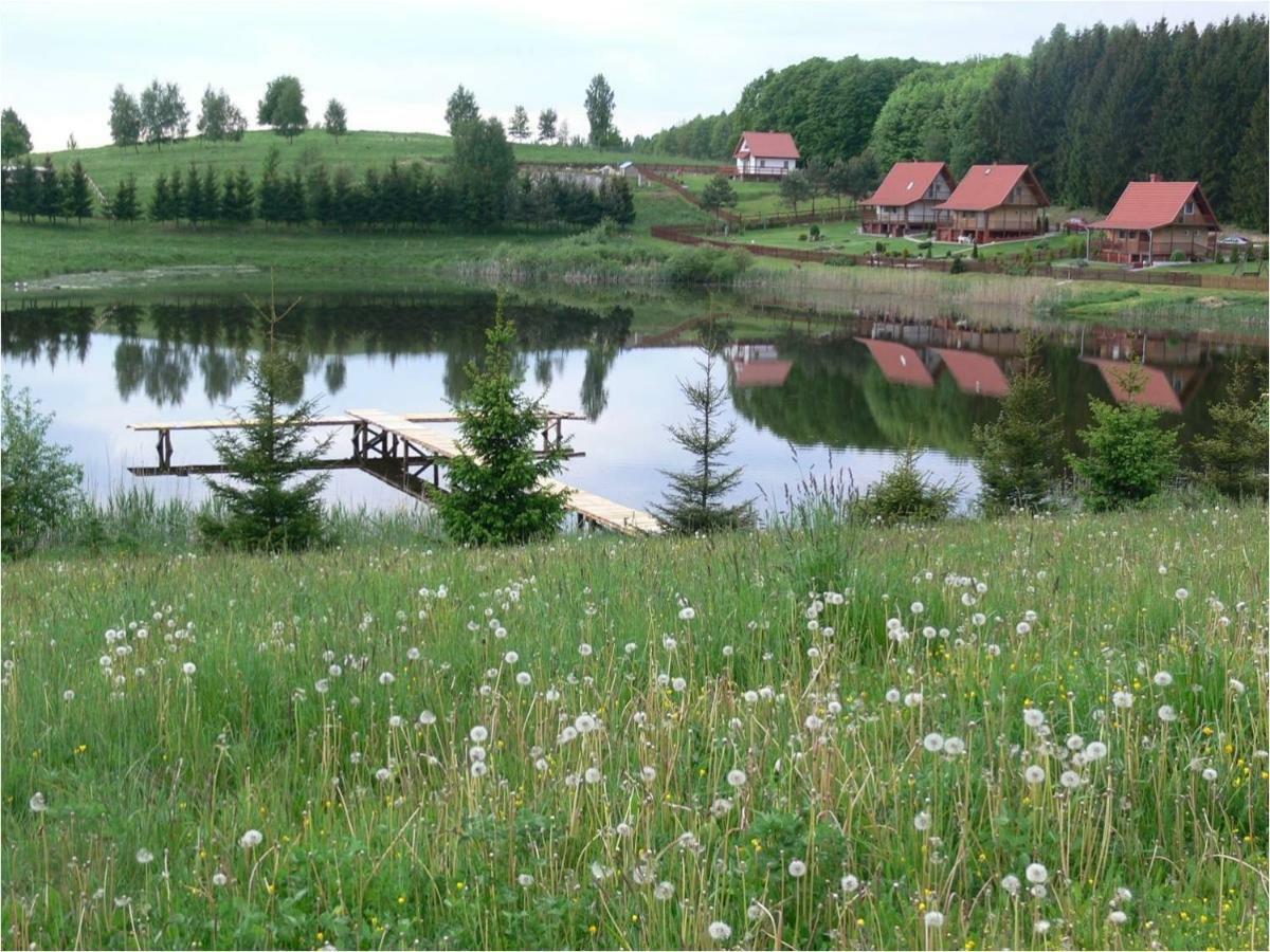 Zlota Lesniczowka Villa Rydzowka Buitenkant foto