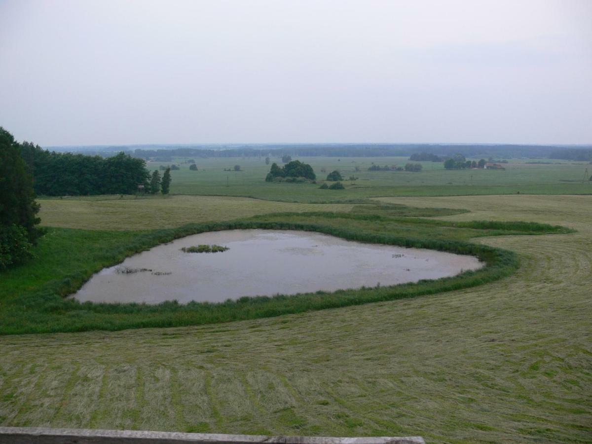 Zlota Lesniczowka Villa Rydzowka Buitenkant foto