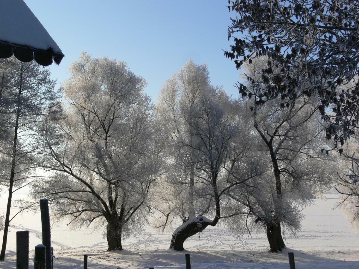Zlota Lesniczowka Villa Rydzowka Buitenkant foto